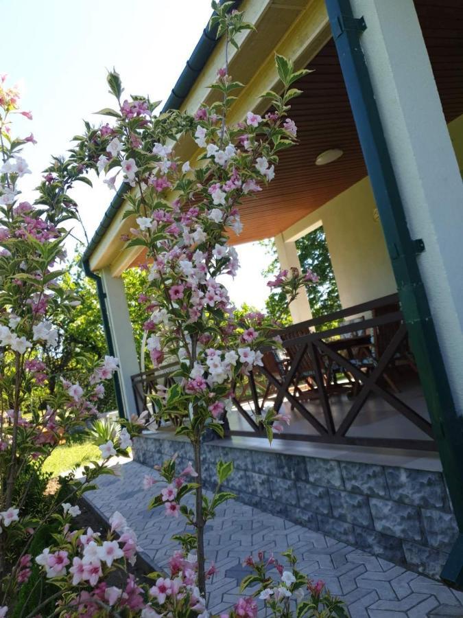 Villa Rokiti 外观 照片
