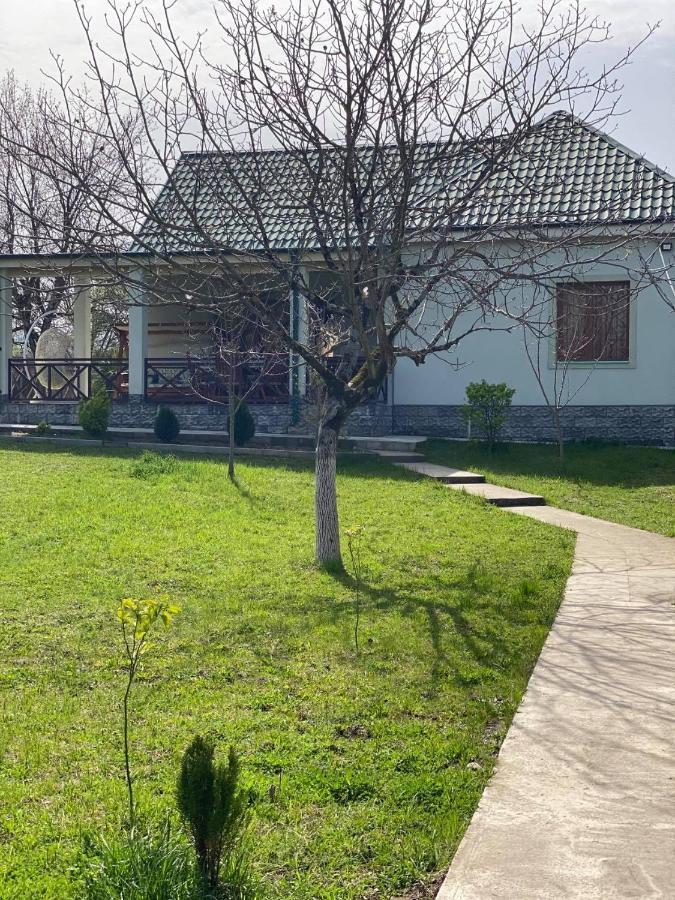 Villa Rokiti 外观 照片